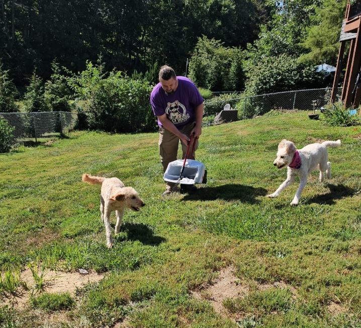 Doggy Doods professional pooper scooper cleaning a yard in St. Charles County while dogs play.