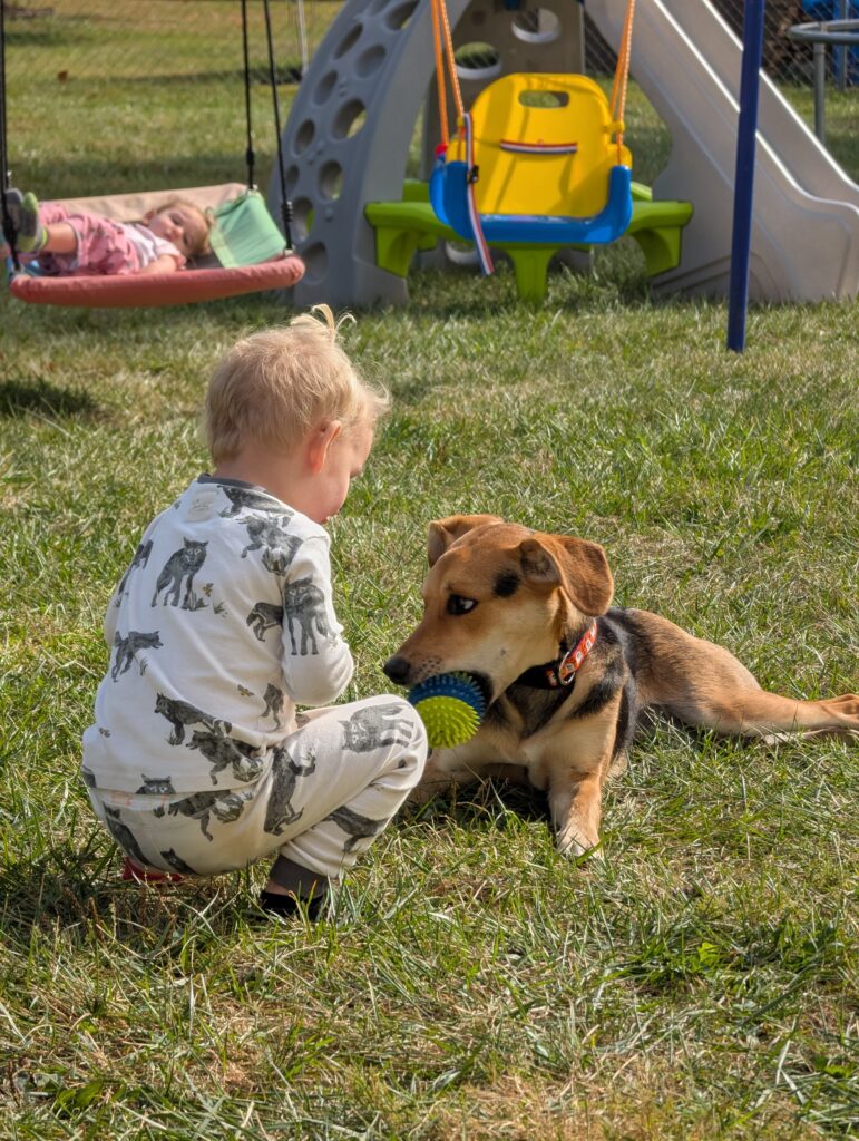 A young child kneeling in the grass beside a dog holding a ball, with another child swinging in the background of a clean backyard in O'Fallon, Missouri.
