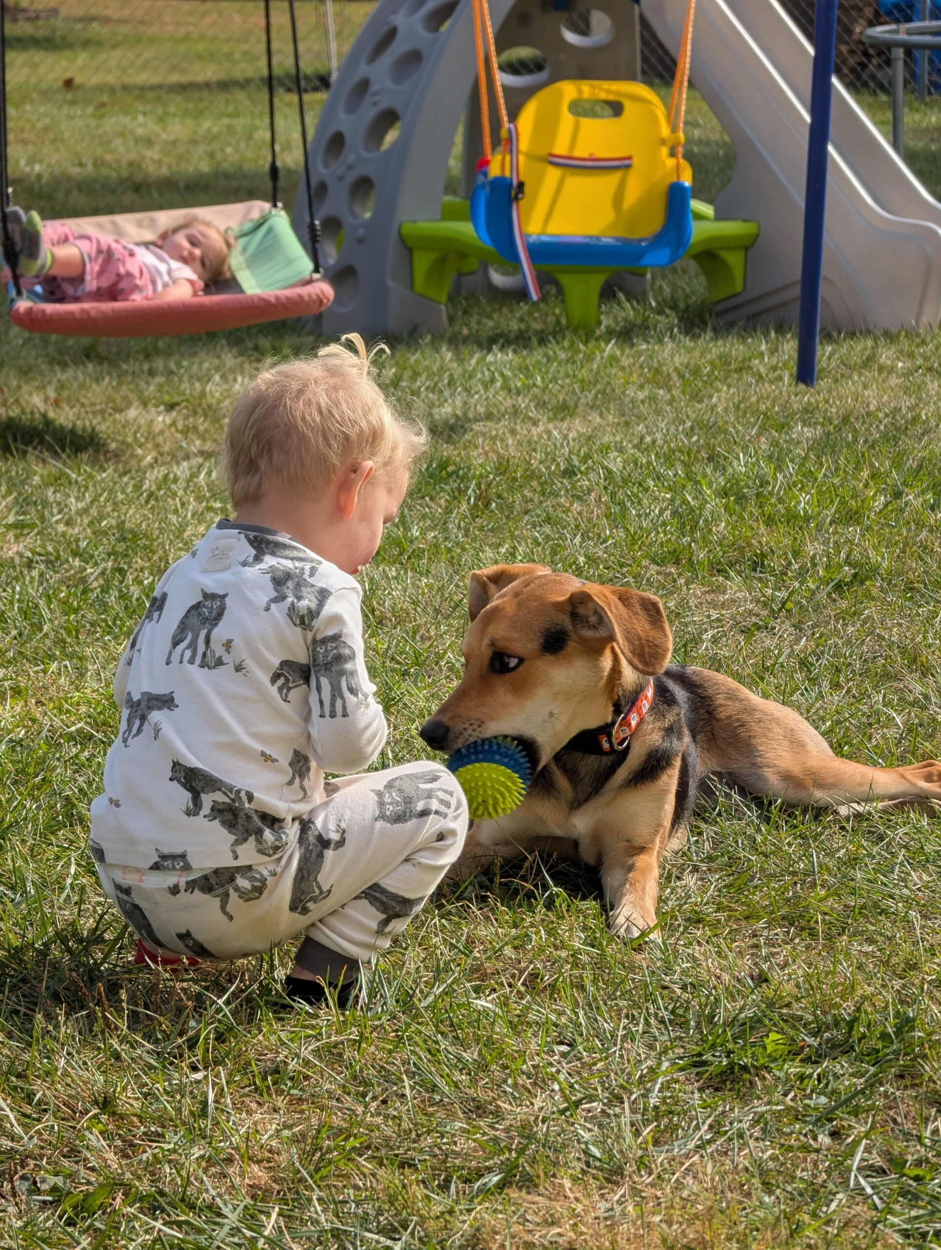 A young child kneeling in the grass beside a dog holding a ball, with another child swinging in the background of a clean backyard in O'Fallon, Missouri.