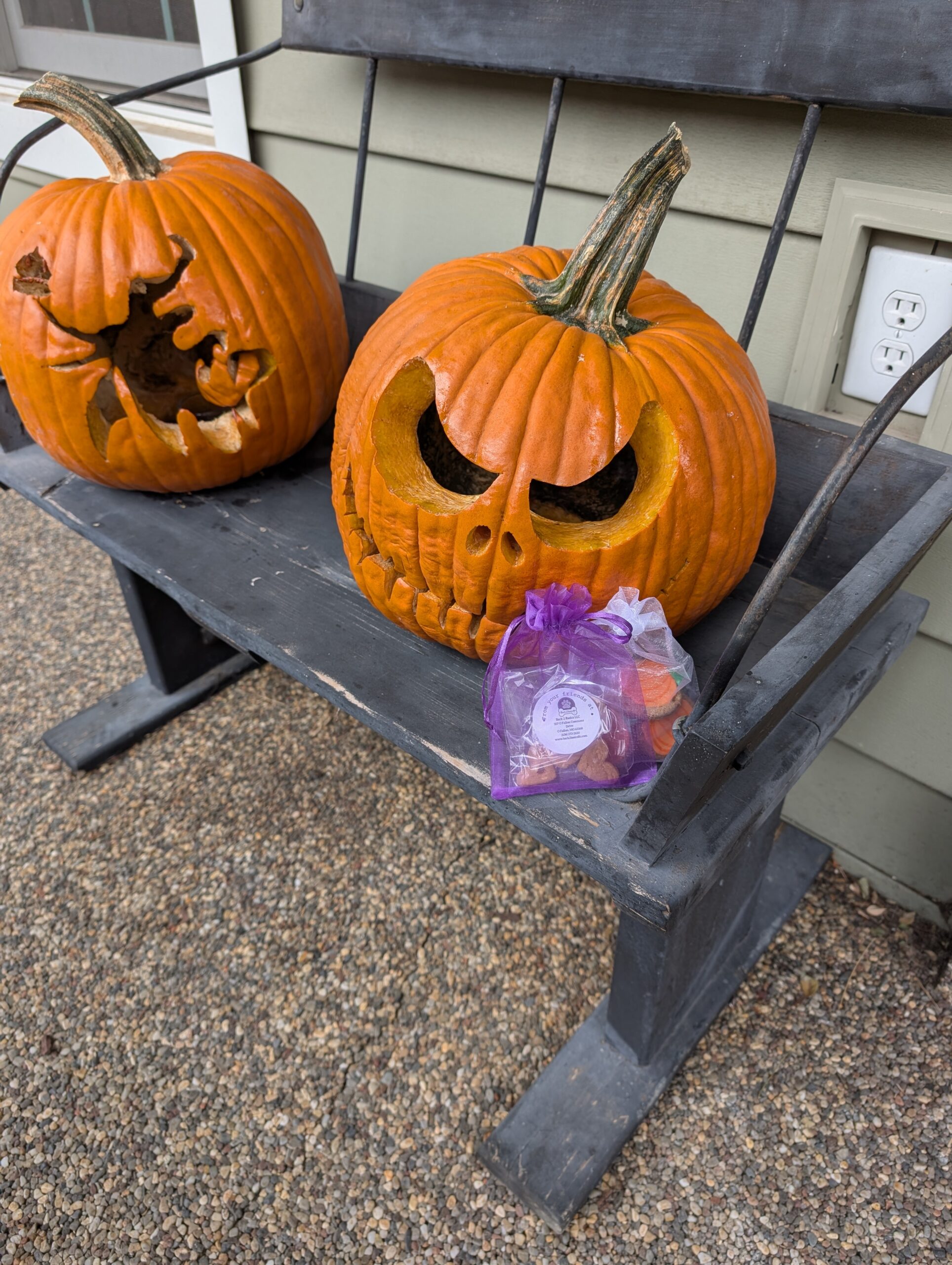 Two carved Halloween pumpkins on a bench with a purple and white Doggy Doods treat bag filled with treats from Bark2Basics and Yadi's Yummies, showing festive but pet-safe decor outside a St. Charles County home.